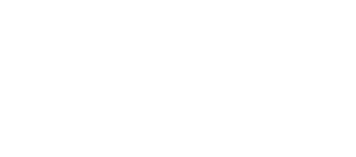 logo - raynet crm