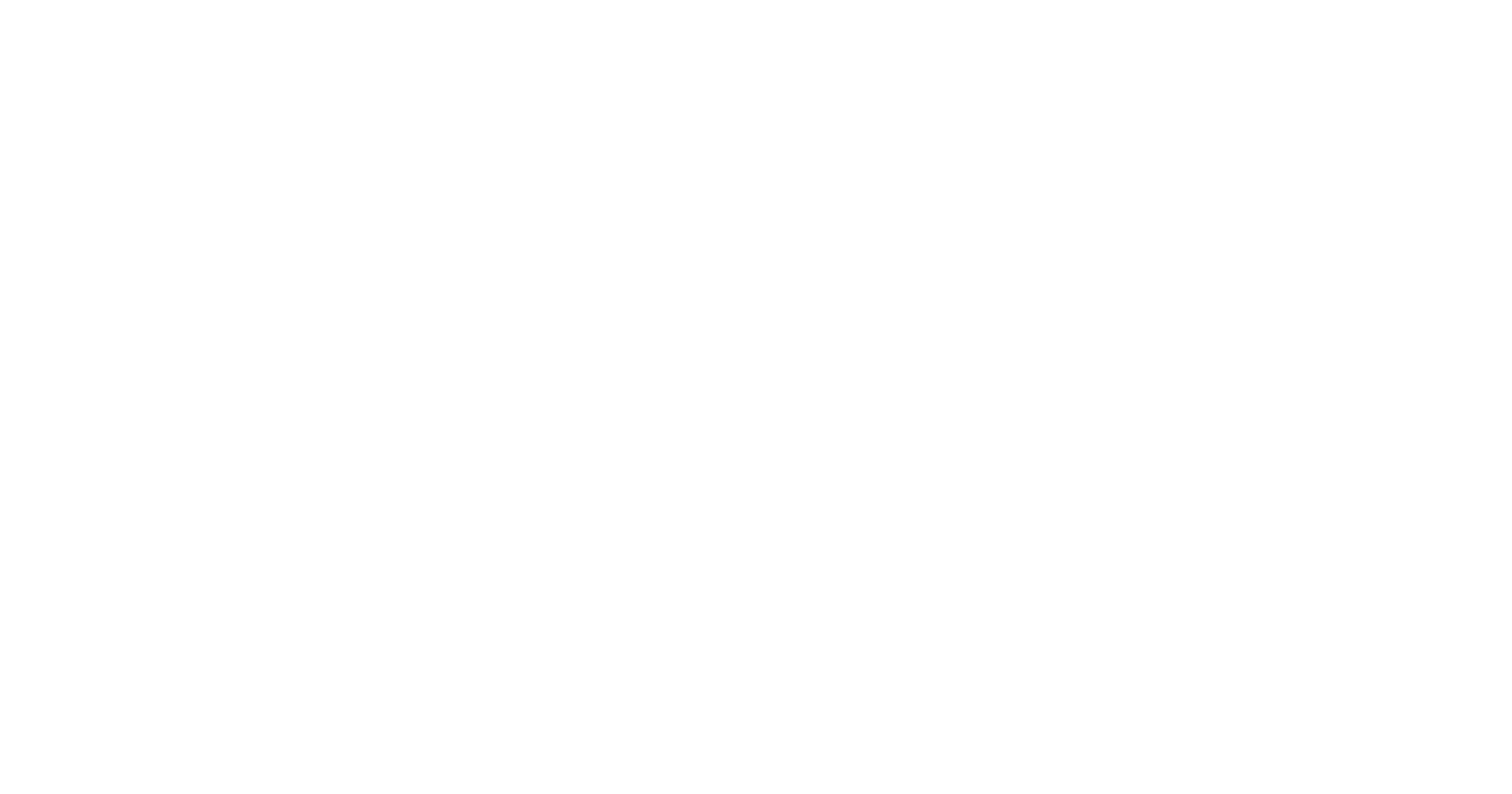 logo fiskalPRO